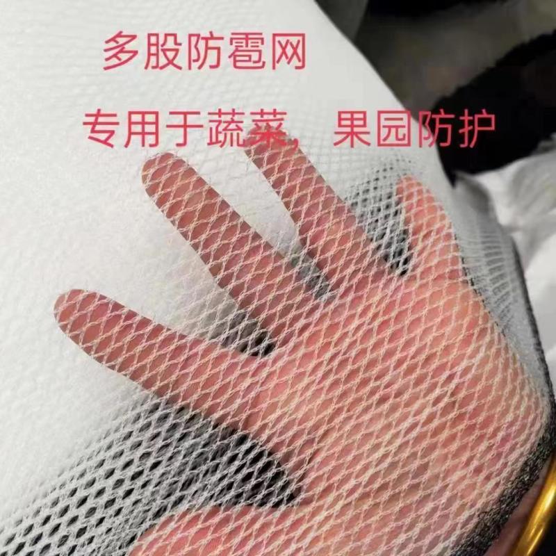 防雹网植物防雹网，果园防雹网保用5~8年。