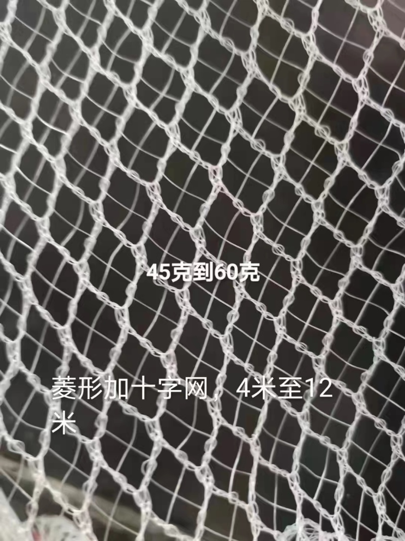 防雹网植物防雹网，果园防雹网保用5~8年。