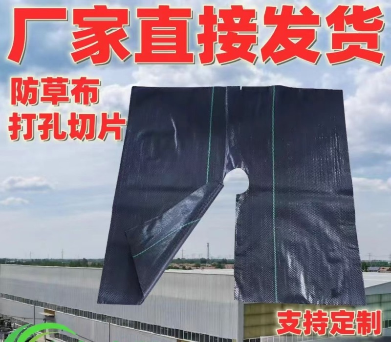 防草布PE材质遮草盖草抗老化保湿厂家发货量大价优
