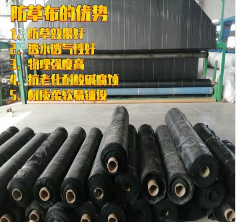 防草布PE材质遮草盖草抗老化保湿厂家发货量大价优