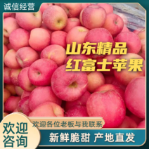 红富士苹果大量上市口感脆甜价格便宜欢迎选购
