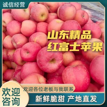 红富士苹果大量上市口感脆甜价格便宜欢迎选购