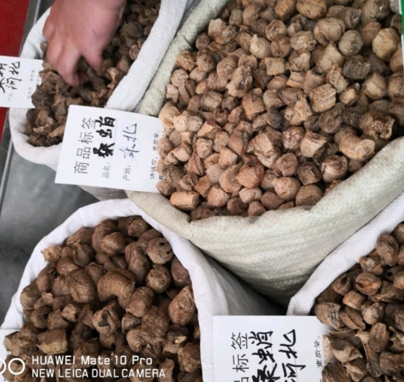 桑螵蛸各种规格干货一斤起包邮