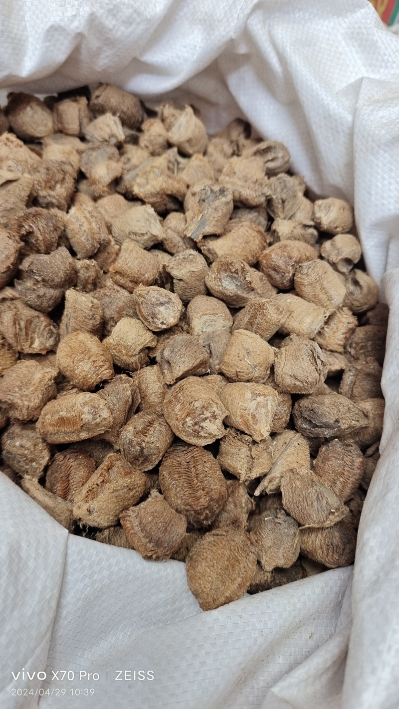 桑螵蛸各种规格干货一斤起包邮