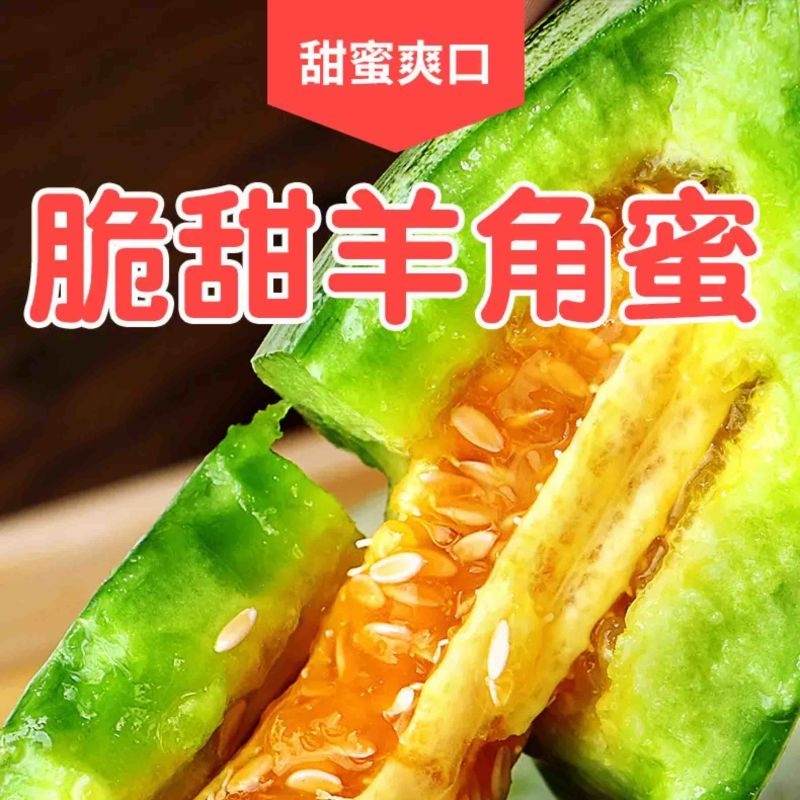【精品头茬】羊角蜜甜瓜，大量供应电商，市场，货源充足可视频