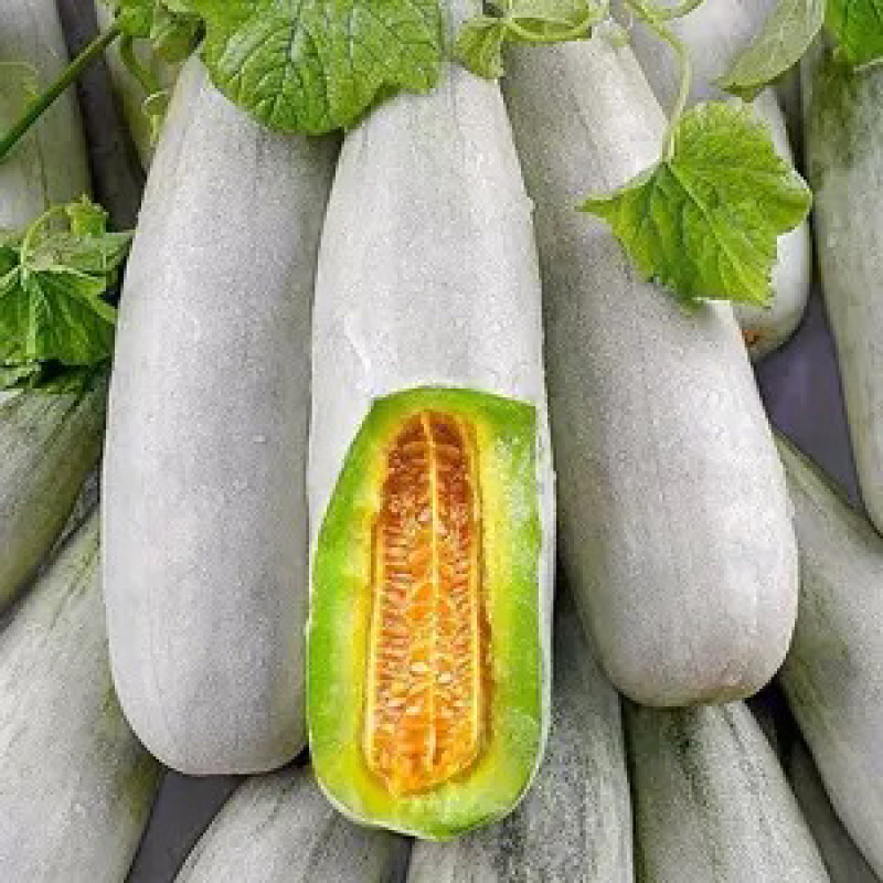 【精品头茬】羊角蜜甜瓜，大量供应电商，市场，货源充足可视频