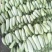 【精品头茬】羊角蜜甜瓜，大量供应电商，市场，货源充足可视频