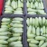 【精品头茬】羊角蜜甜瓜，大量供应电商，市场，货源充足可视频