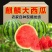 河南西瓜8424麒麟美都嘉年华产地直发包熟包甜诚信