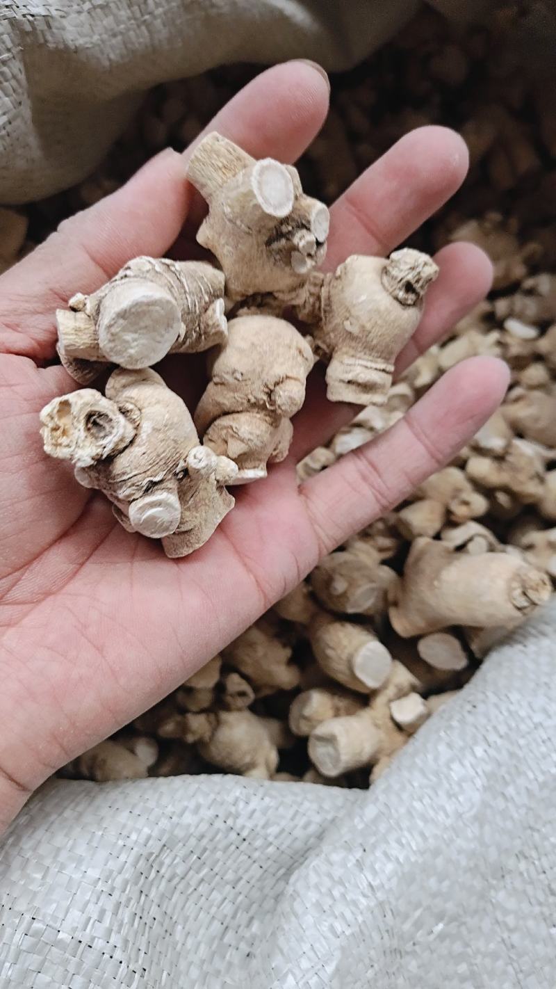 西洋参立头品质正宗质优价廉常年供应欢迎老板电话联系
