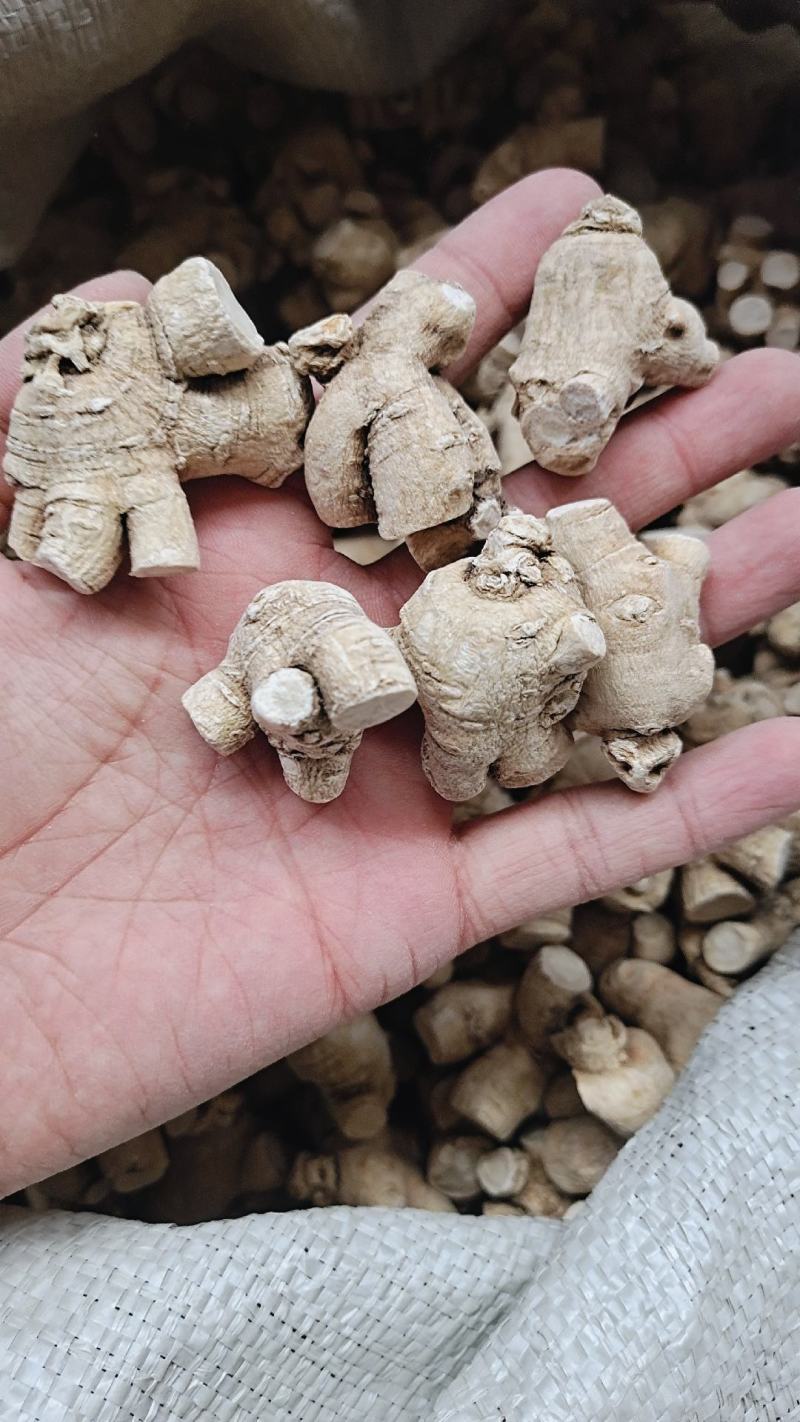 西洋参立头品质正宗质优价廉常年供应欢迎老板电话联系