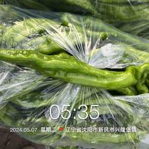 东北辽宁螺丝椒，精品，通货各种品相供应齐全，各类辣椒