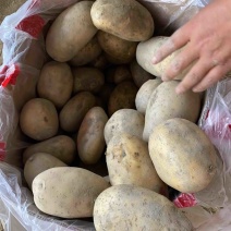 西森V7沃土