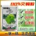 80%灭蝇胺斑潜蝇