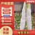 【万亩单季茭白】肉质白现摘现发价格优惠全国代发