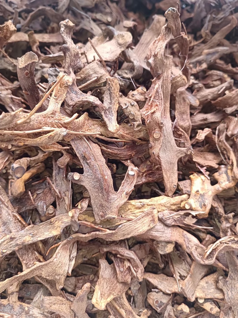 骨碎补中药材，长期供货，量大从优，质量保证，欢迎选购