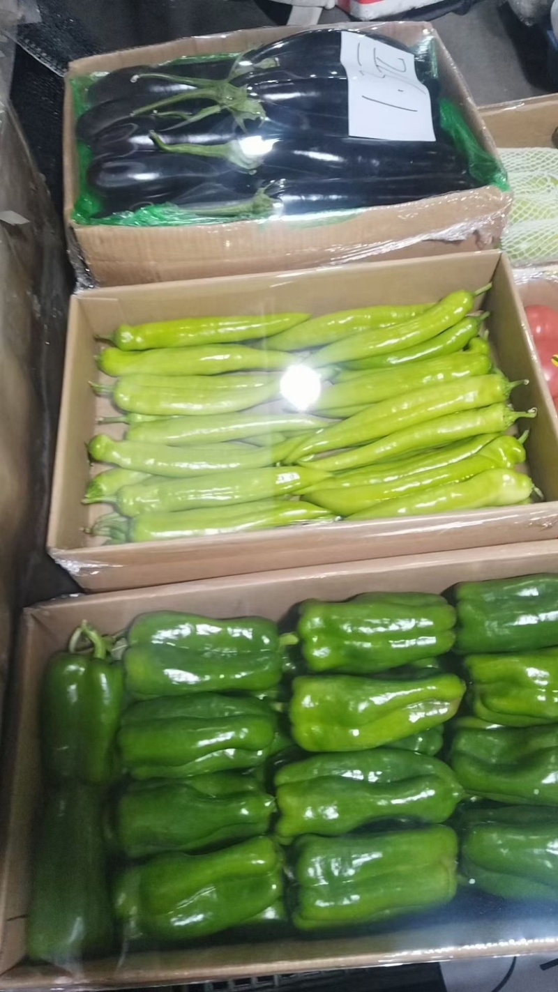 东北辽宁螺丝椒，精品，通货各种品相供应齐全，各类辣椒