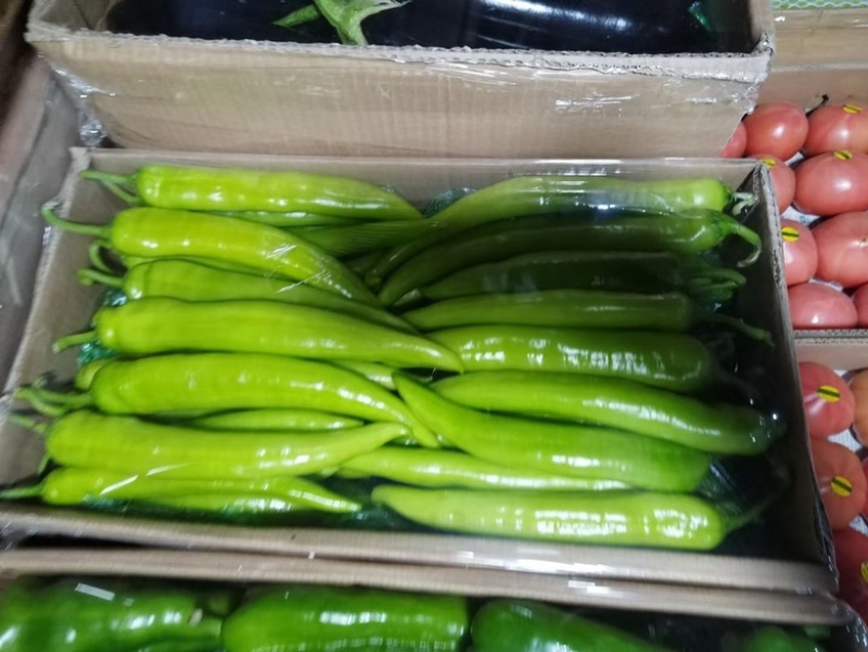 东北辽宁螺丝椒，精品，通货各种品相供应齐全，各类辣椒