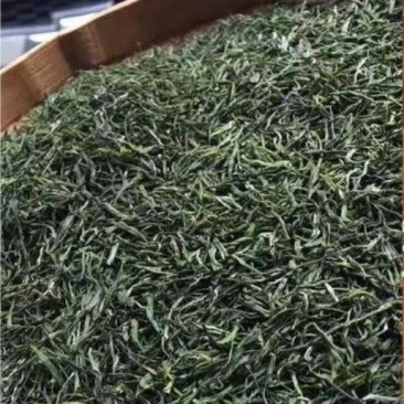 恩施绿茶