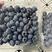 江苏南通大棚蓝莓f6L25，大中小果，18+有大量