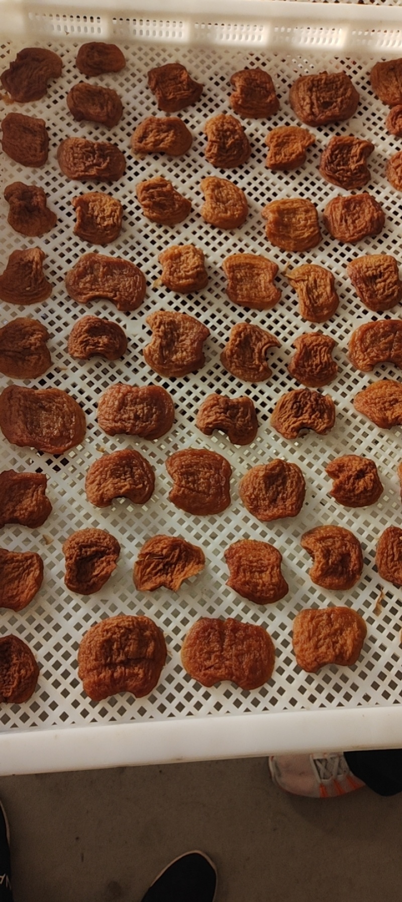 精品苹果脯，品质保证，价格便宜，诚信经营，可视频看货