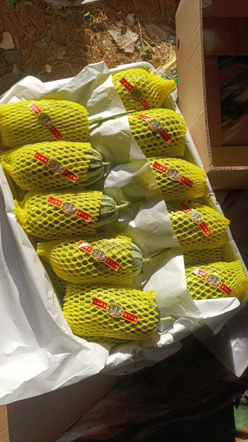 博洋九甜瓜，头茬精品，脆甜多汁，耐运输，个头均匀