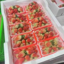 【优选】云南精品蒙特瑞草莓，大量现货供应，品质