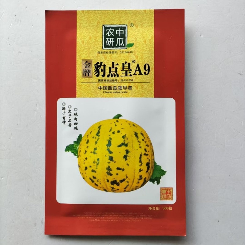 豹点皇A9甜瓜品种，杂交一代甜度高夏季耐雨水品种种子