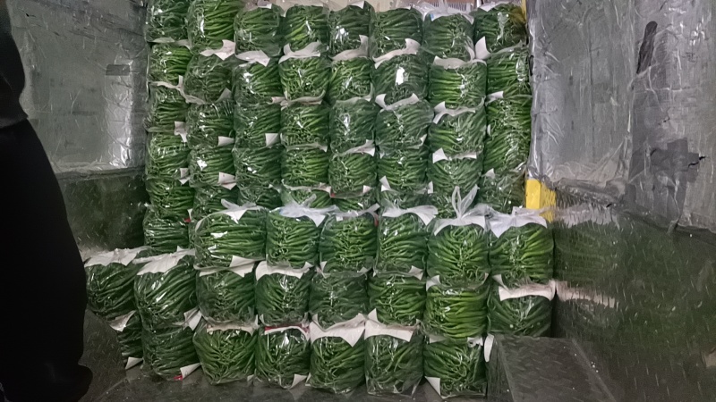 精品线椒线椒线椒线椒线椒线椒线椒线椒线椒线椒
