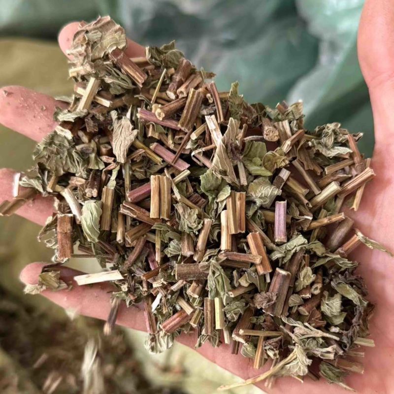 薄荷干货薄荷无硫叶多正品薄荷实拍过筛货