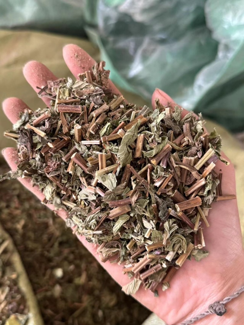 薄荷干货薄荷无硫叶多正品薄荷实拍过筛货