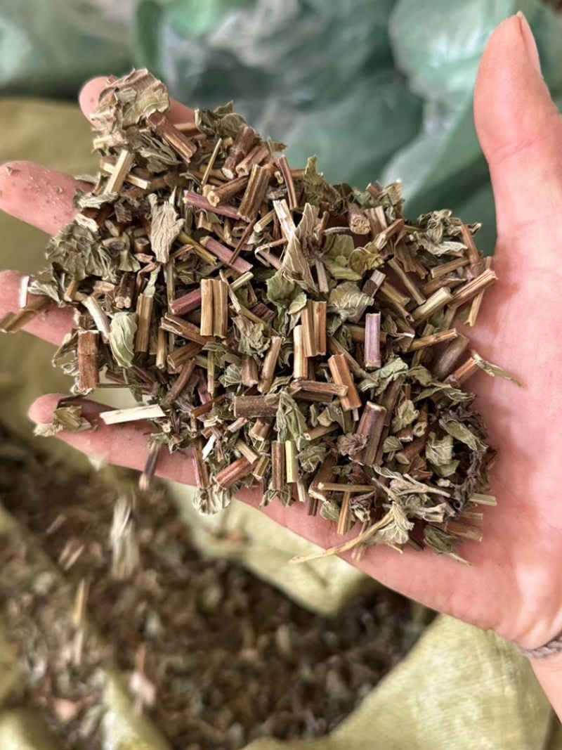 薄荷干货薄荷无硫叶多正品薄荷实拍过筛货
