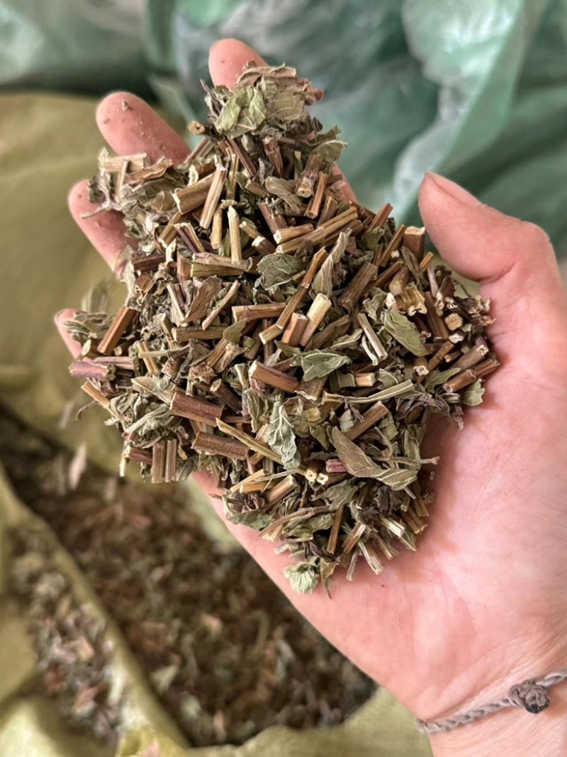 薄荷干货薄荷无硫叶多正品薄荷实拍过筛货