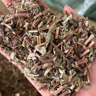 薄荷带叶薄荷干货薄荷保庆药业正品无硫实物拍摄