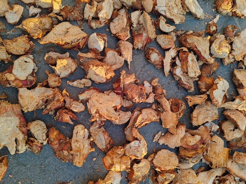 南/山姜干片～广东潮州山地红皮南姜