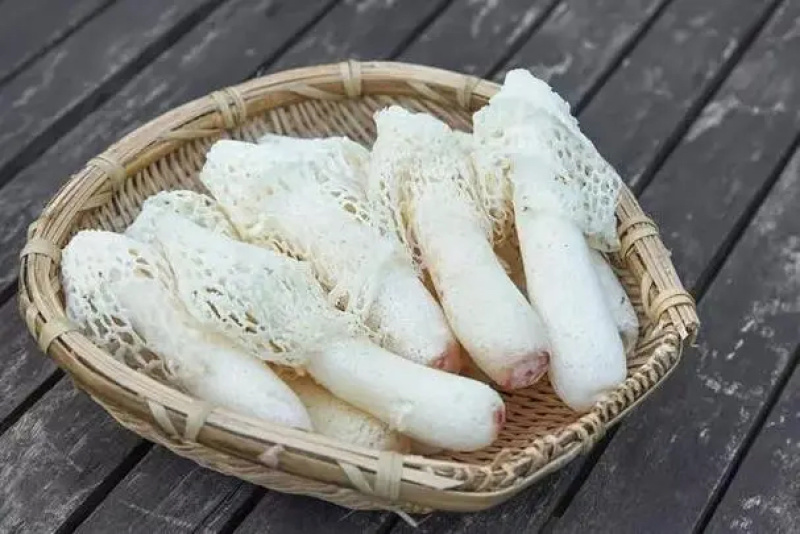 竹荪