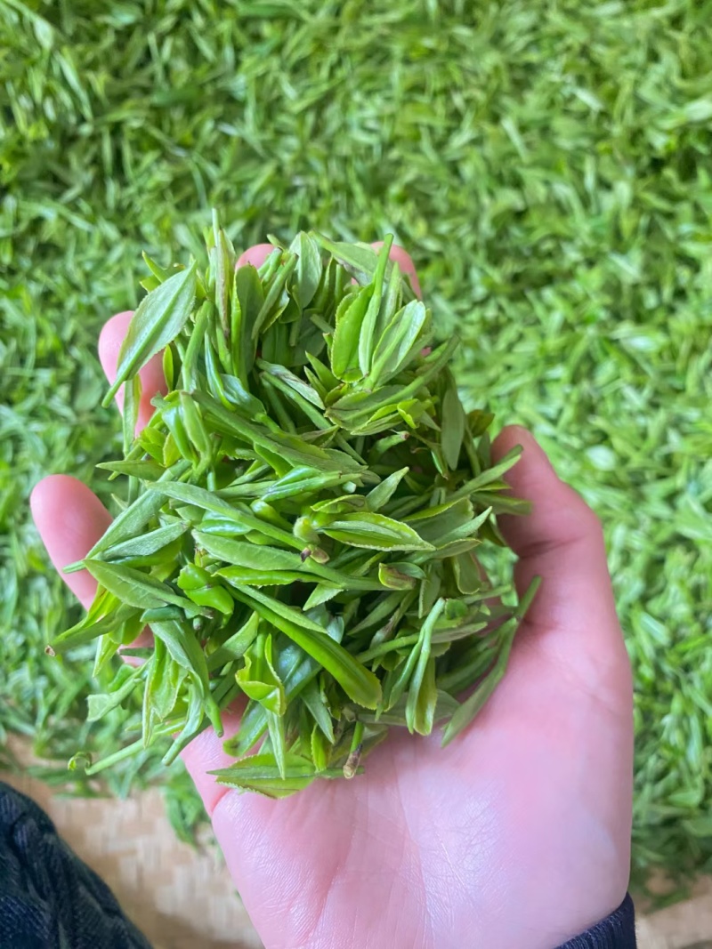 【桐城小花云雾茶】安徽基地直供质量上乘，可零售可批发