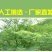 2025年云南辣木叶粉过检验带sc超微粉
