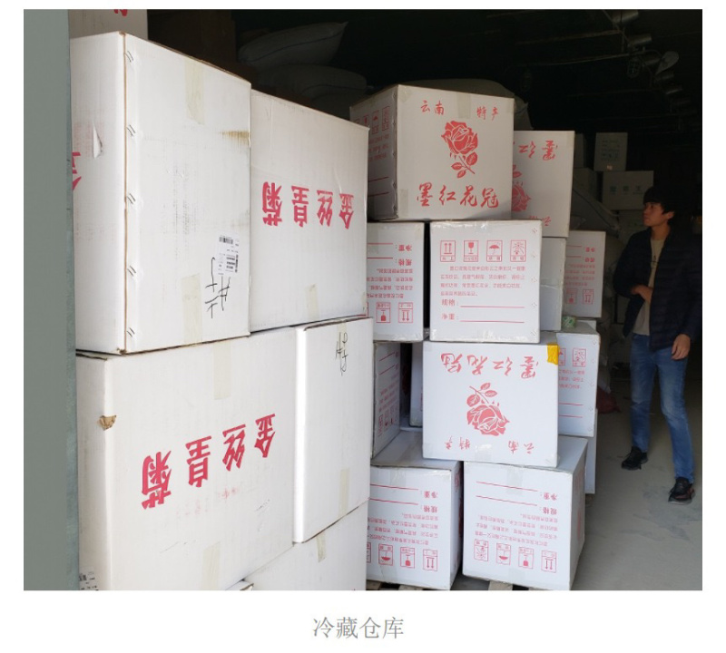 云南玫瑰冻干玫瑰花烤干产地批发玫瑰花冠墨红玫瑰