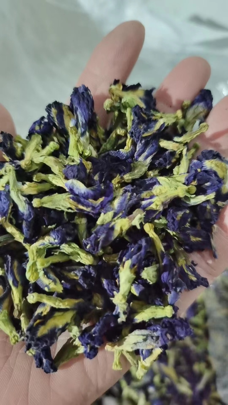 蝶豆花蓝蝴蝶花茶蓝色花茶代发产地批发花茶