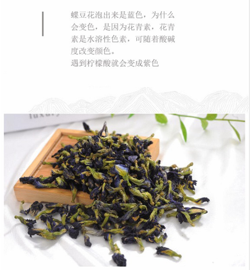 蝶豆花蓝蝴蝶花茶蓝色花茶代发产地批发花茶