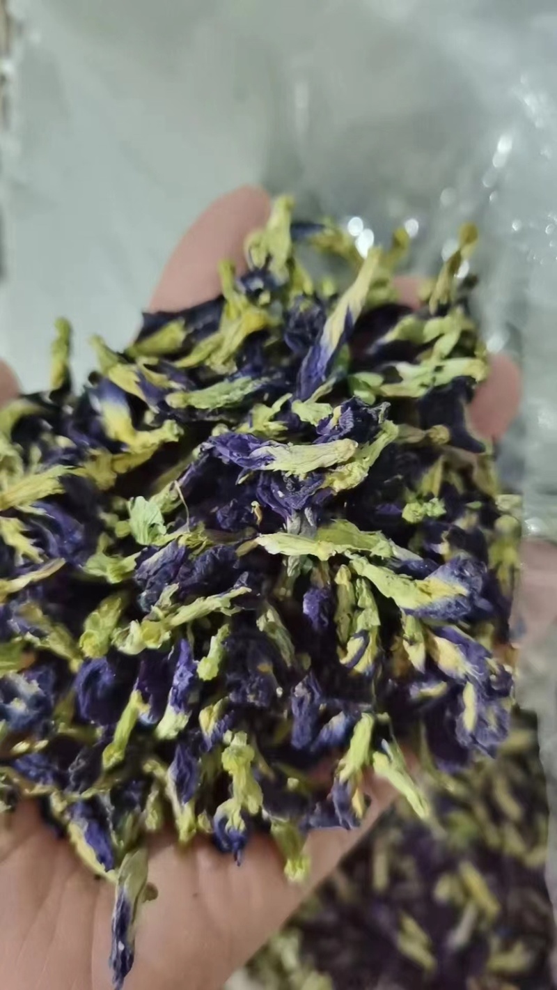 蝶豆花蓝蝴蝶花茶蓝色花茶代发产地批发花茶