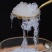 缅甸拉丝雪燕缅甸拉丝雪燕代发大货批发一手货源