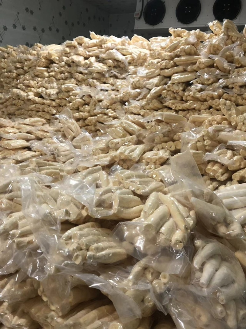 广西正宗华南九号剥皮黄心木薯糖水店同款