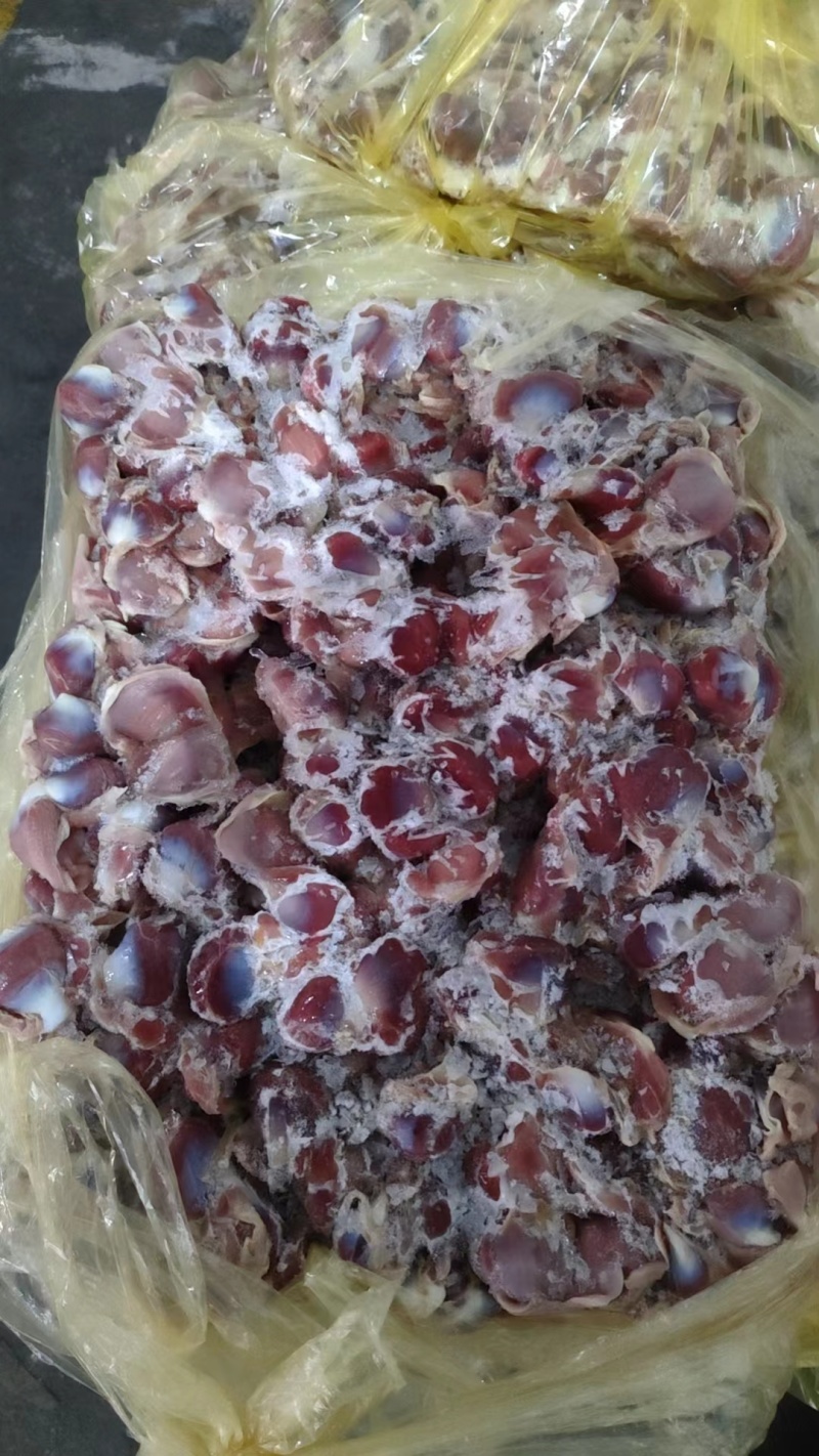 鸭胗，大板，纯干货，几乎没有水分，10公斤
