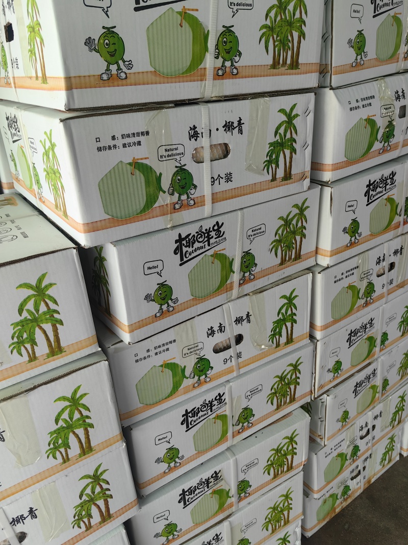海南椰青，可以挖椰子蛋，清甜可口
