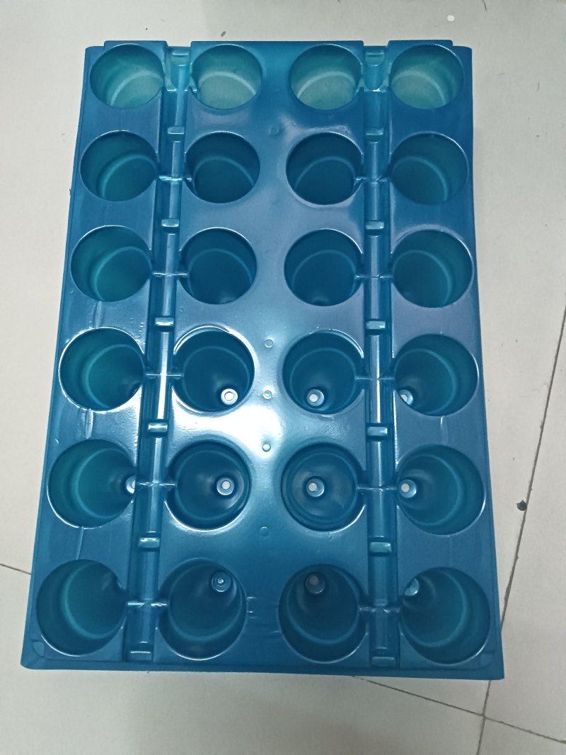 24孔草莓育苗盘