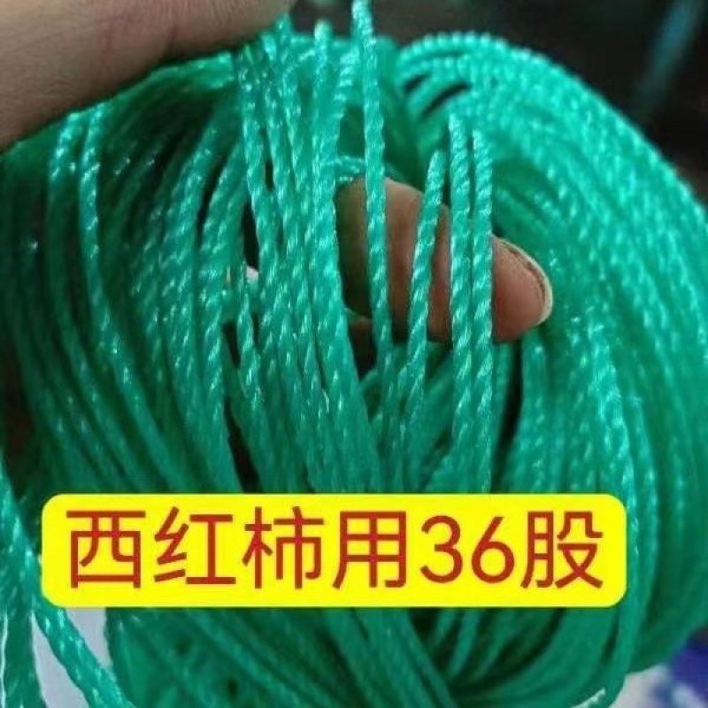 吊蔓绳全新聚乙烯原料，结实耐用，抗老化，厂家直发