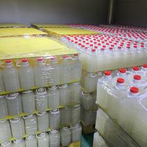 厂家供应2.5公斤桶装米酒大量现货支持贴牌