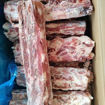 牛龙骨